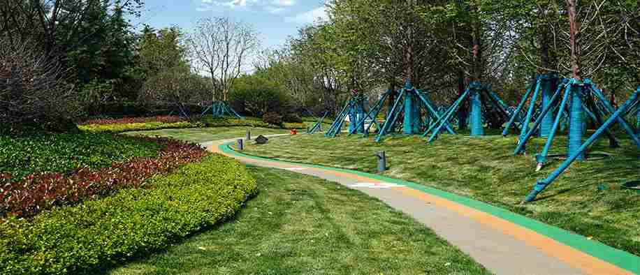 今年会 | 官方网站