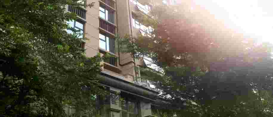 今年会 | 官方网站