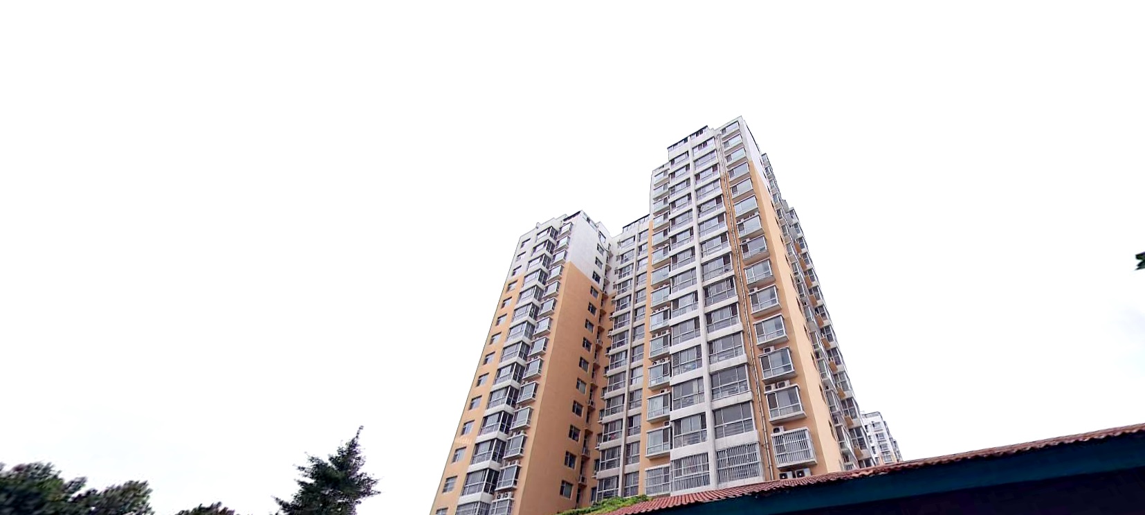 今年会 | 官方网站