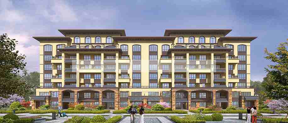 今年会 | 官方网站