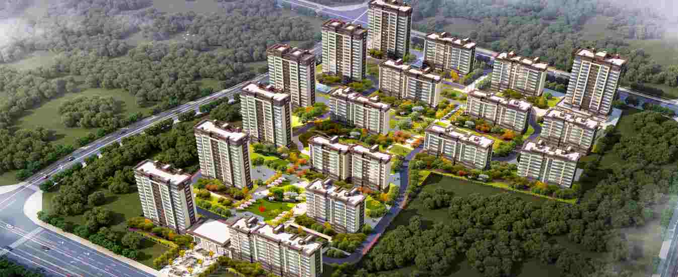 今年会 | 官方网站